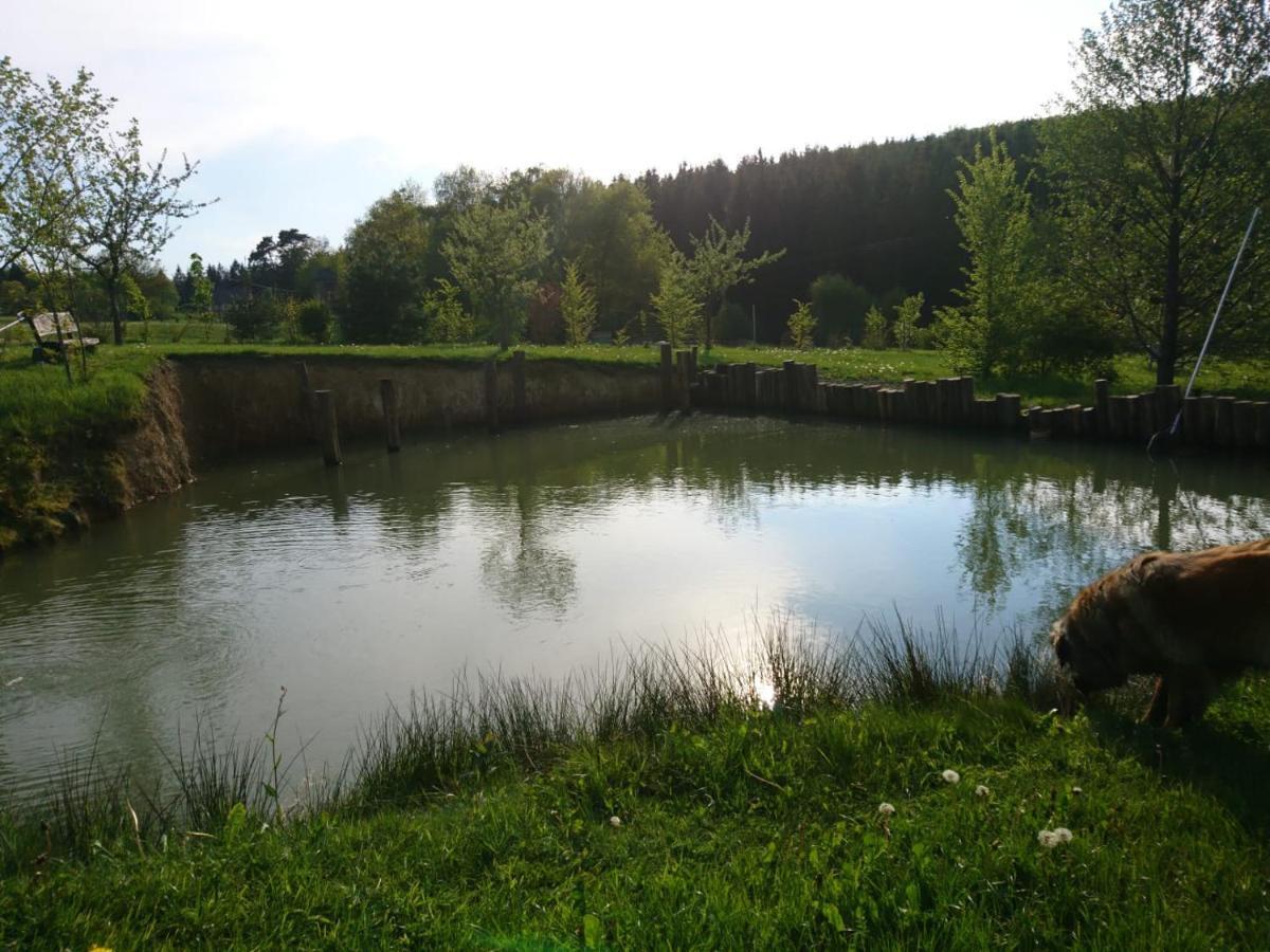 Ferienwohnung Hohe Acht Kaltenborn  Exterior foto