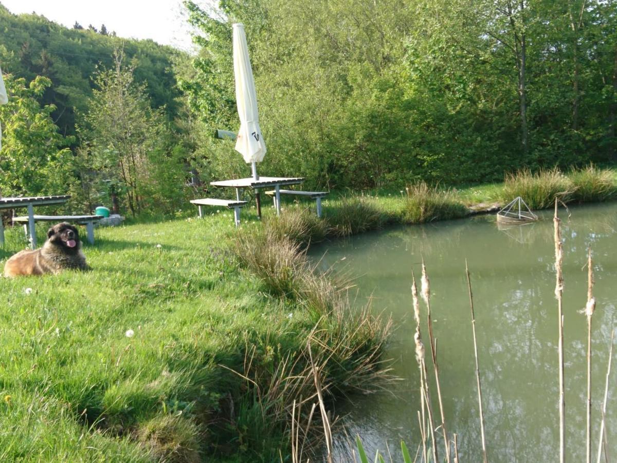 Ferienwohnung Hohe Acht Kaltenborn  Exterior foto